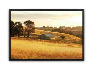 Golden farmhouse barn landscape canvas for warm living room or dining room decor.