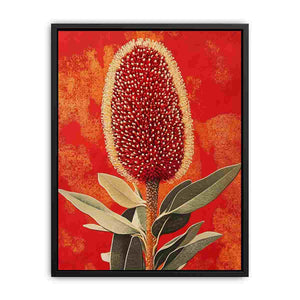 Red banksia botanical canvas art for bold Australian living room decor.