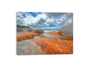 Orange lichen coastal rock canvas art for bold modern living room decor.