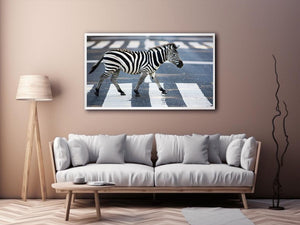 Urban Zebra Walk