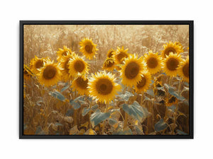 Summer Sunflower