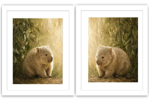 Soft wombat diptych canvas art with forest leaves for nursery or modern living room decor.