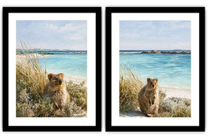 Coastal quokka artwork beside turquoise beach