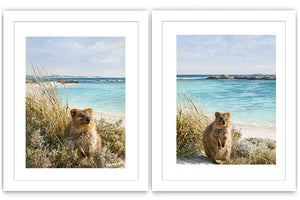 Coastal quokka artwork beside turquoise beach
