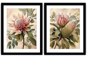 Protea floral botanical canvas art