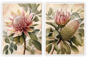 Protea floral botanical canvas art