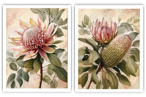 Protea floral botanical canvas art