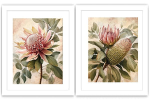 Protea floral botanical canvas art