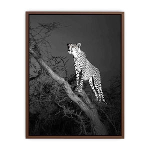 Black and white cheetah canvas art for bold modern office or living room decor.