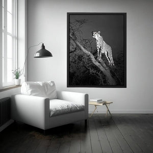 Black and white cheetah canvas art for bold modern office or living room decor.
