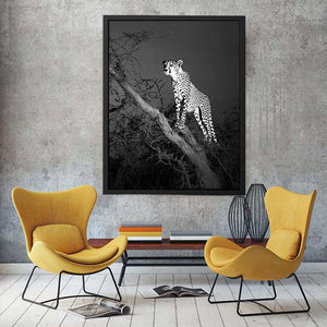 Black and white cheetah canvas art for bold modern office or living room decor.