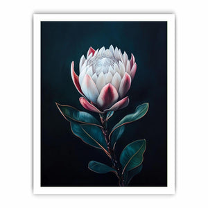 Moody protea flower canvas art with dark background for elegant bedroom decor.