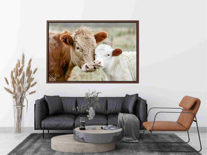 Cow and calf photography for warm farmhouse living room decor