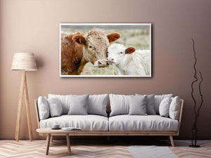 Cow and calf photography for warm farmhouse living room decor
