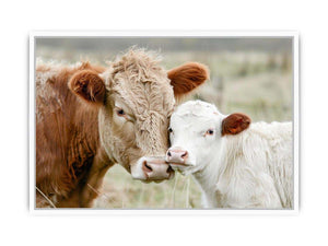 Cow and calf photography for warm farmhouse living room decor