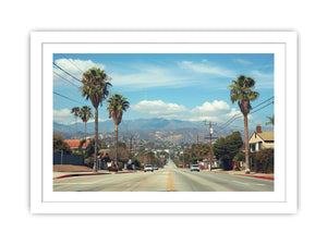 Palm tree boulevard photography for modern office wall decor