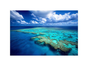 Aerial ocean reef photography for coastal bedroom decor