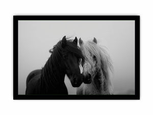 Black and white horse portrait artwork for elegant home decor