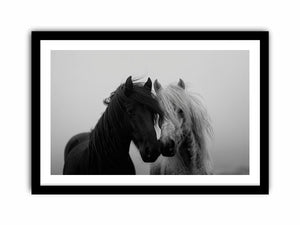 Black and white horse portrait artwork for elegant home decor