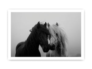 Black and white horse portrait artwork for elegant home decor