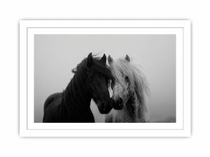 Black and white horse portrait artwork for elegant home decor