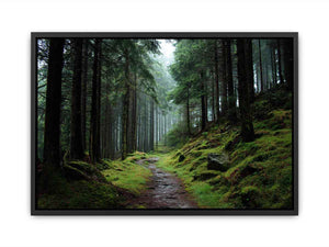 Misty forest path canvas photography for calm green living room decor.