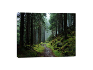 Misty forest path canvas photography for calm green living room decor.