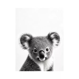 koala black white wall art, minimalist animal portrait canvas, cute koala photography print, modern wildlife decor