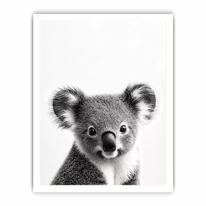 koala black white wall art, minimalist animal portrait canvas, cute koala photography print, modern wildlife decor