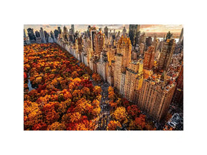 new york city skyline with central park autumn colors aerial view wall art