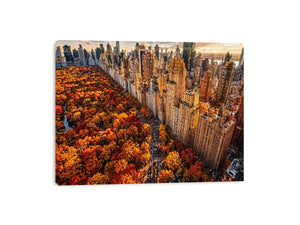 new york city skyline with central park autumn colors aerial view wall art