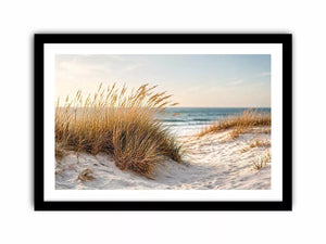 Golden Dune Serenity