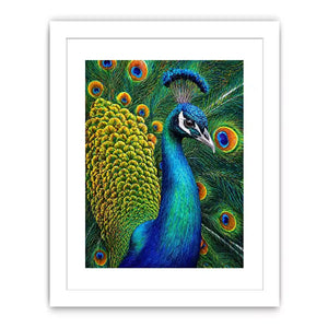 peacock close up wall art colorful feathers, vibrant bird painting canvas print, detailed peacock feather artwork modern decor, luxury peacock illustration