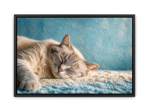 sleeping cat soft pastel cozy pet wall art calm home decor canvas