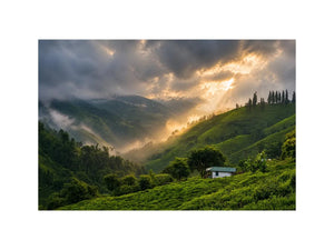 misty green hills landscape fog valley nature wall art peaceful countryside canvas