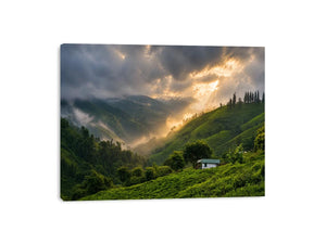 misty green hills landscape fog valley nature wall art peaceful countryside canvas
