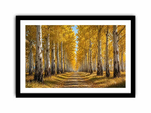 Golden autumn birch forest canvas art for warm hallway and living room decor.