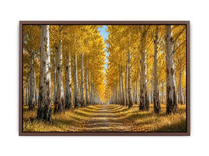 Golden autumn birch forest canvas art for warm hallway and living room decor.