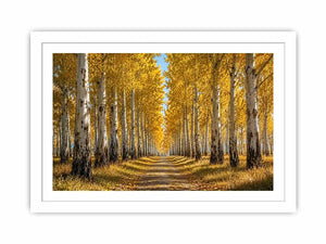 Golden autumn birch forest canvas art for warm hallway and living room decor.