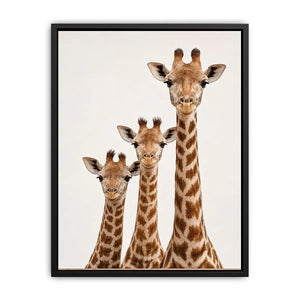 Square giraffe trio canvas art for nursery and kids room decor.