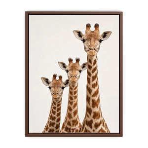 Square giraffe trio canvas art for nursery and kids room decor.