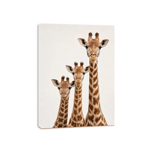 Square giraffe trio canvas art for nursery and kids room decor.