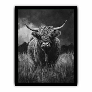 Highlind Cow In Black And White Canvas Painting