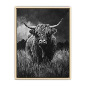 Highlind Cow In Black And White Canvas Painting