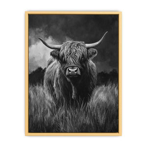Highlind Cow In Black And White Canvas Painting
