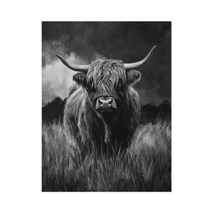 Highlind Cow In Black And White Oil Painting