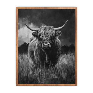 Highlind Cow In Black And White Canvas Painting