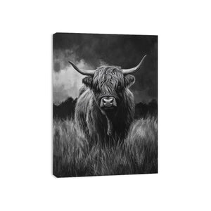 Highlind Cow In Black And White Canvas Painting