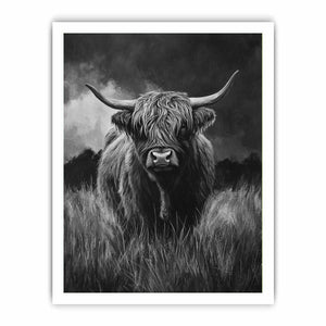 Highlind Cow In Black And White Canvas Painting
