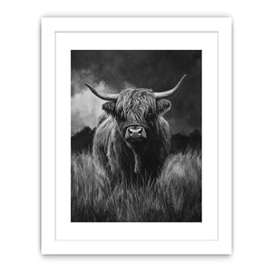 Highlind Cow In Black And White Canvas Painting